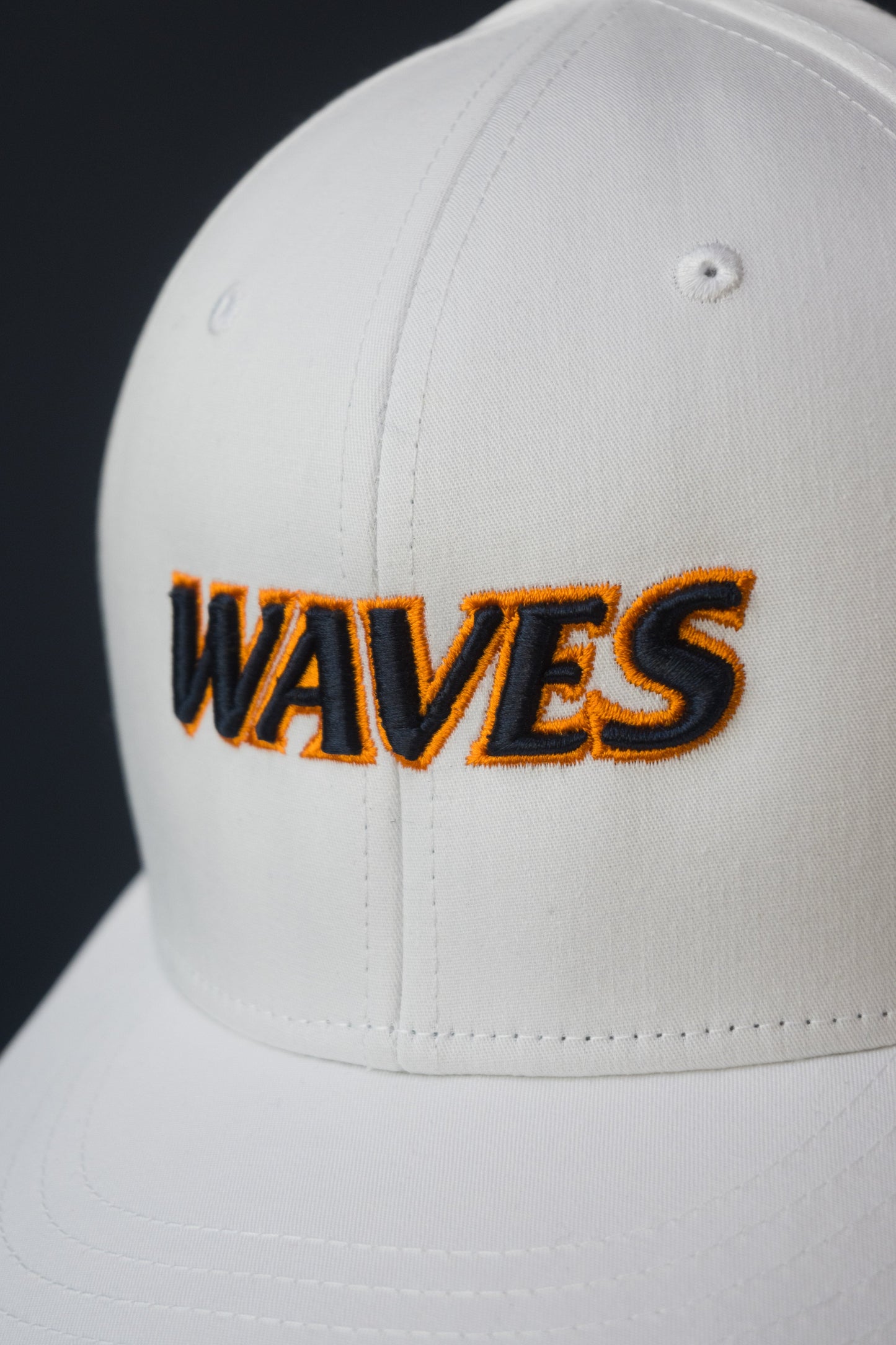 Classic Waves Snapback